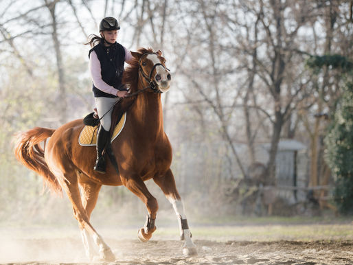 Spring Horse Training Tips: Conditioning Senior Horses