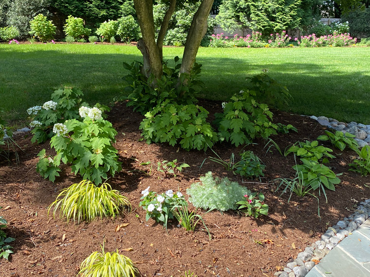 Landscape Design Arrowwood Landscape Design West Chester