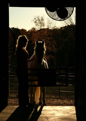 Horse and woman in stable with fan