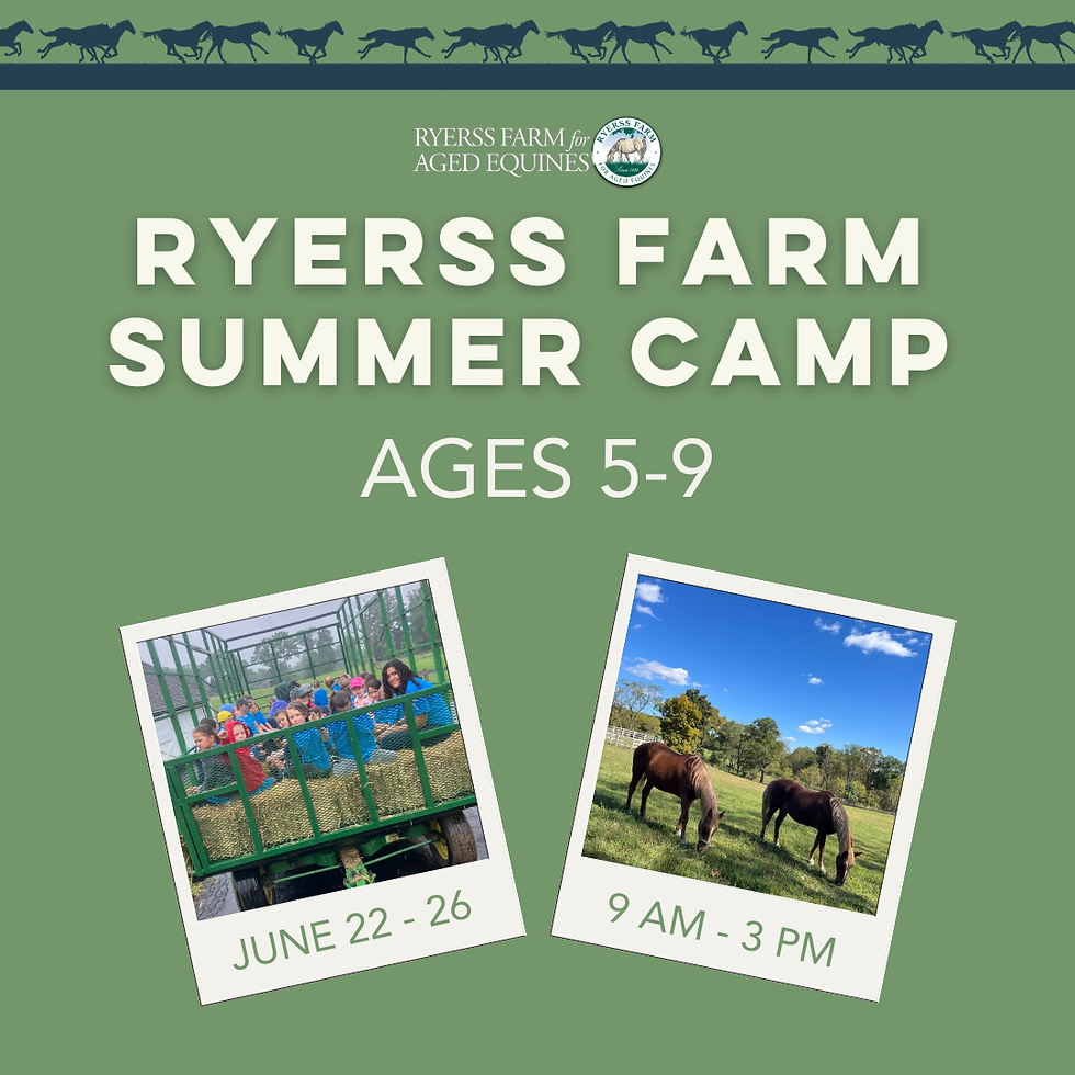 Summer Camp (Ages 5-9)