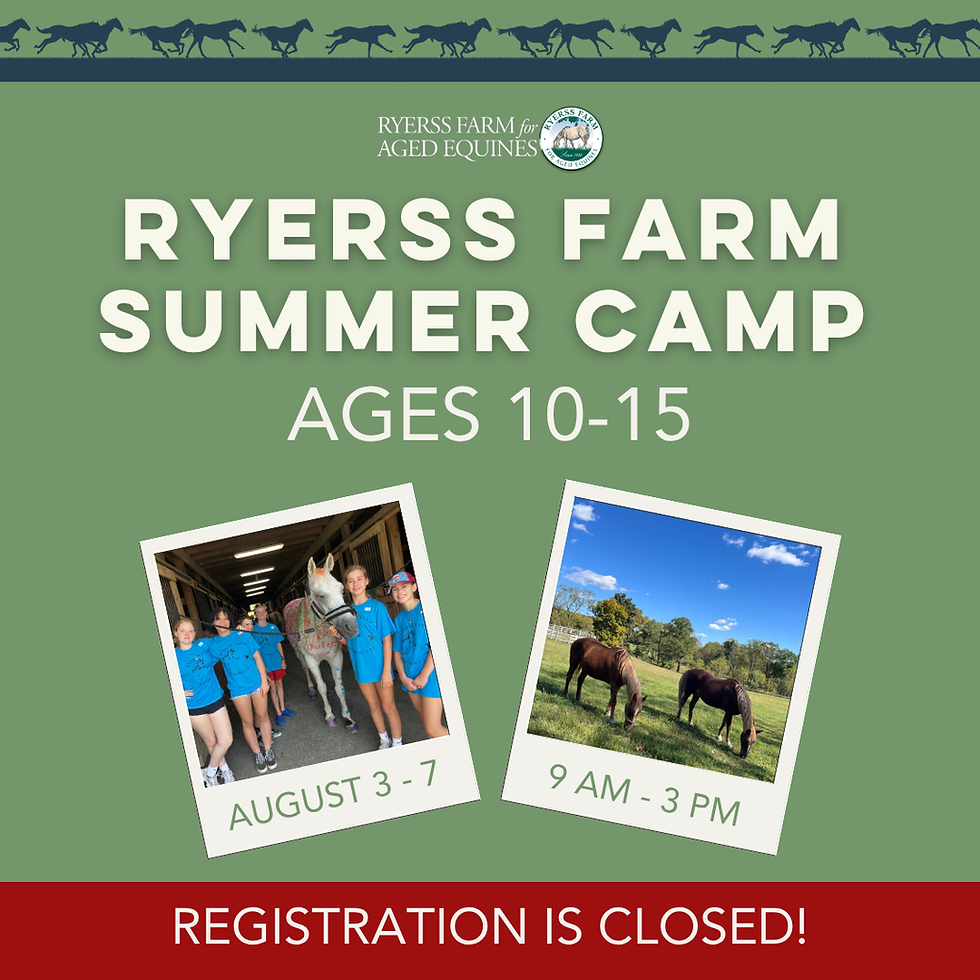 Summer Camp (Ages 10-15)