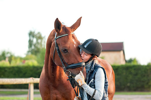 National Help a Horse Day is on April 26th!