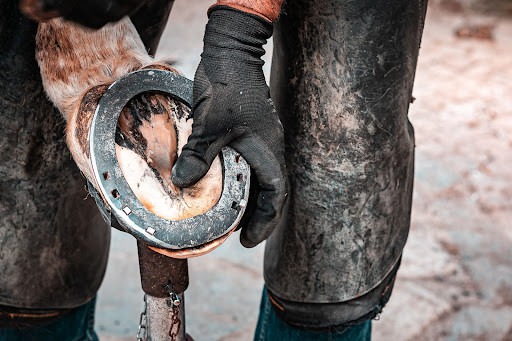 ryerss farm keep hooves trimmed 6 to 8 weeks replace shoes as needed pick hooves before and after riding horse pedicure schedule farrier visit check and replace shoes diet exercise hoof moisturizer