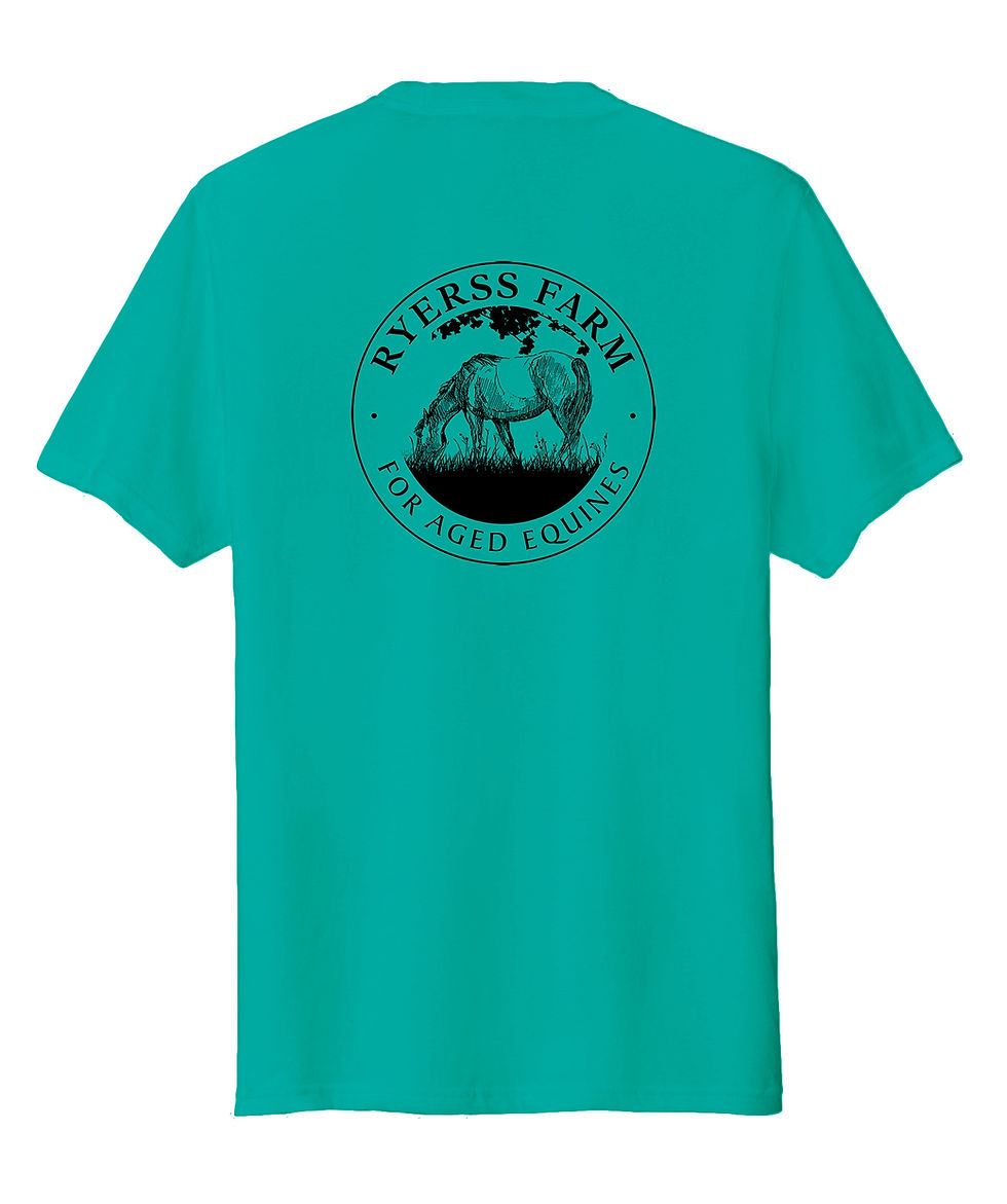 Thumbnail: T-shirts