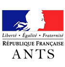 ANTS.png