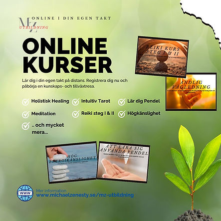 Online kurs.jpg