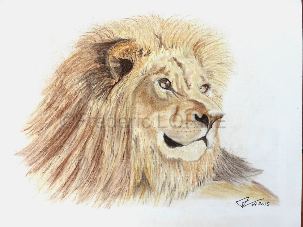 Tête de lion - 26x20