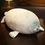 Thumbnail: Oversize Cross-border Osaka, Japan, Simulated Seal Pillow, Popular Soft Seal Do