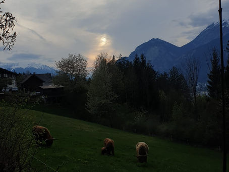 The Hütte Cuisine