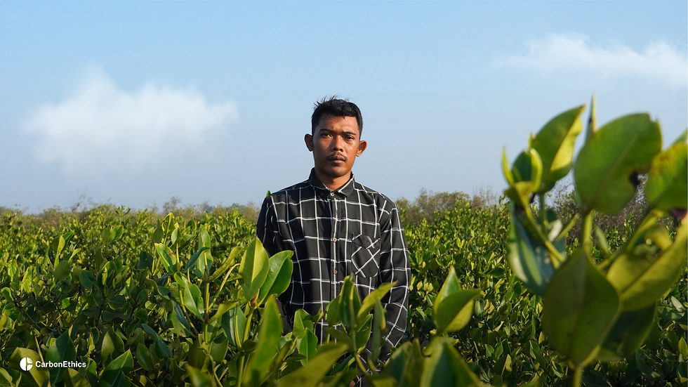 A local community member standing among mangrove trees at the Tanjungpakis project site