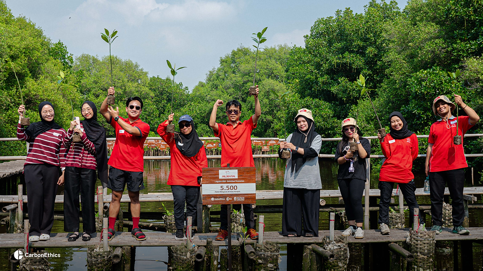Prudential Indonesia teams holding mangrove seedlings at a planting site in Pulau Harapan, Kepulauan Seribu.