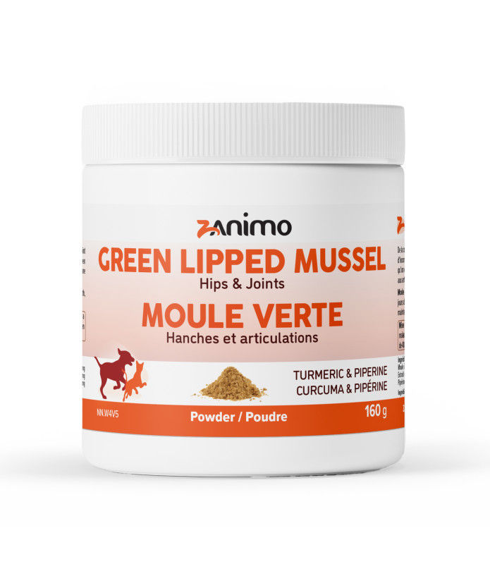 moules vertes pour les articulations chiens et chats