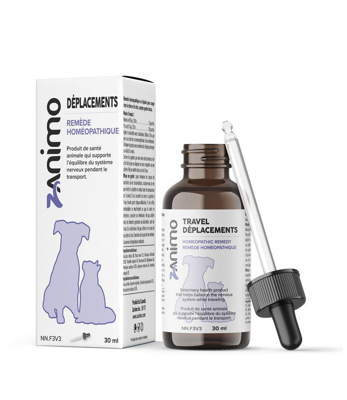 inconfort en voiture hypersalivation en voiture vomissement chiens mal de transport