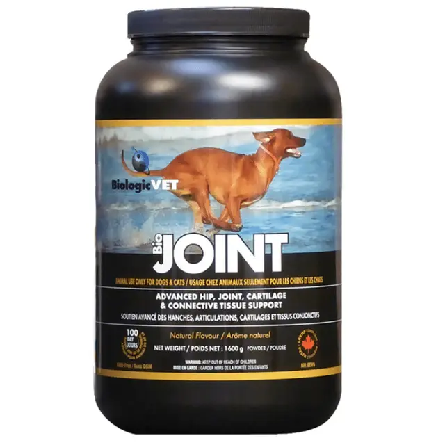 Miniature : soutien articulaire et réduit inflammation muscle souplesse