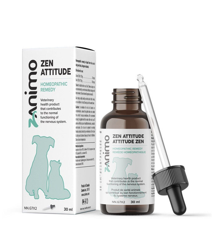 bon fonctionnement du système nerveux stress anxiété chiens et chats