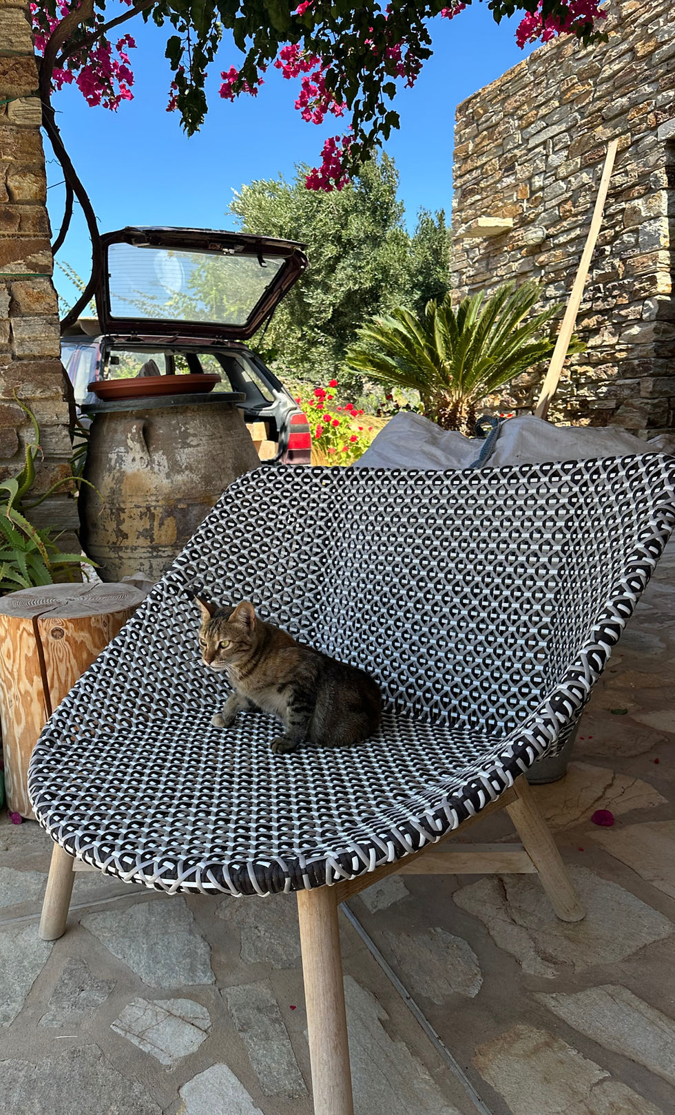 While working on site at this Cycladic estate, I took this photograph: a DEDON woven lounge chair on the terrace, claimed by a stray cat, with the carpenter’s car behind it loaded with timber for the bespoke joinery. For me, it encapsulates the informality of working here — designer and craftsman dealing with things directly and practically, a long way from the formalities of London.