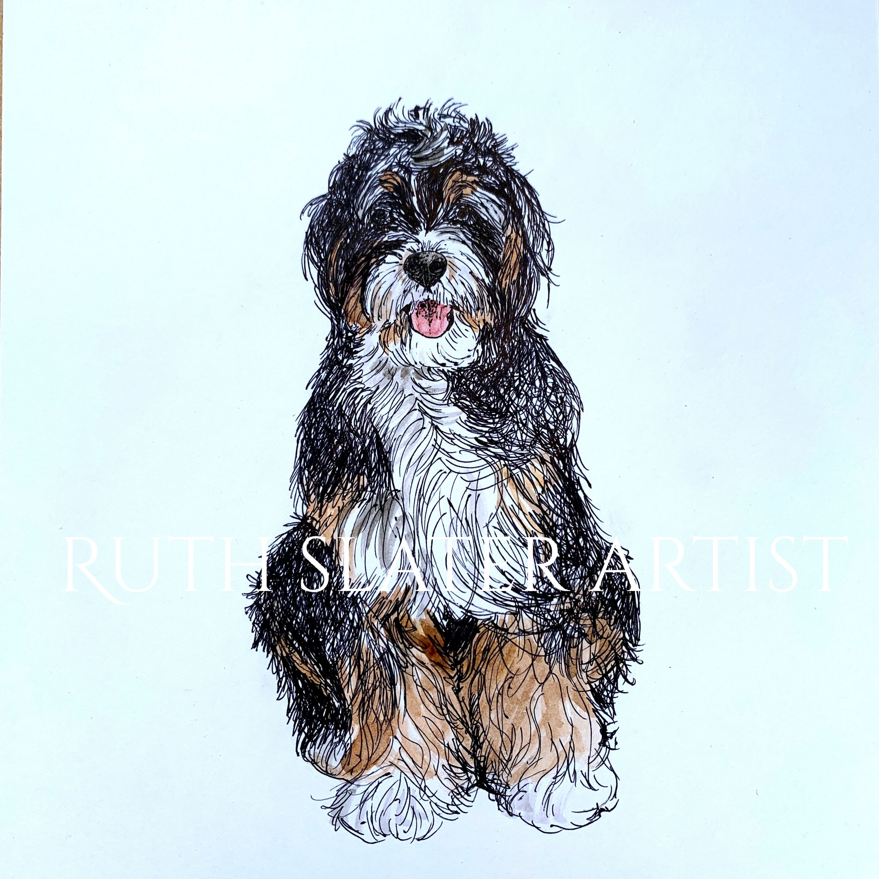 Bernedoodle Original