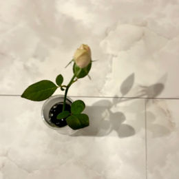 今の自分の在り方