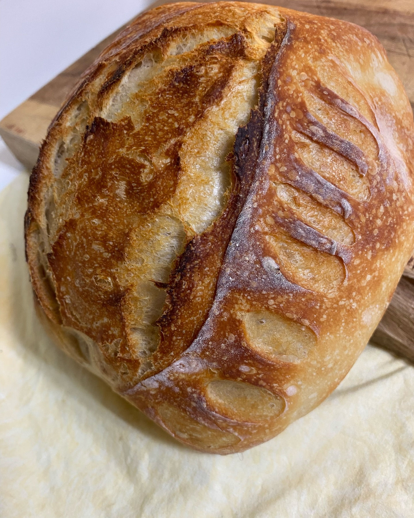 Rustic Sourdough Loaf