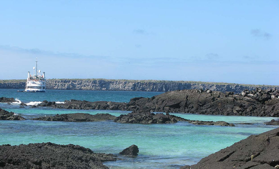 Darwin-Bay-Genovesa-Travel-Guide.jpg