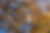 DSC_9787v2.jpg