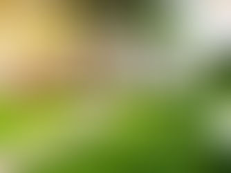 How to Brace for Rising Home Costs: A Guide for Homeowners and Renters  