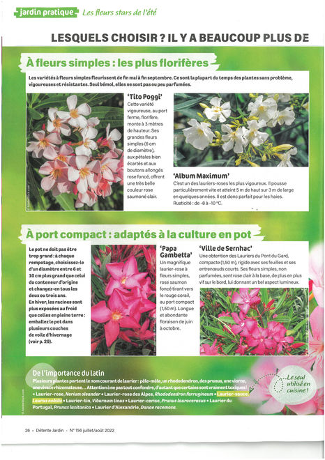 page 3.jpg