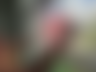 Finding the Right New Construction Home