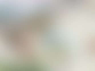 Retombée presse européenne -magazine danois “La France”