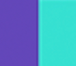 TruthIn Colors.png