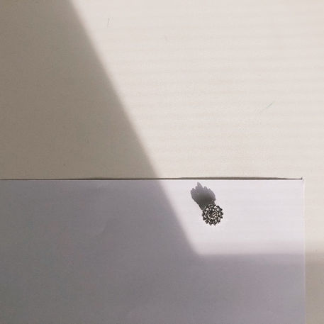 PERCHE' USARE LA LUCE NATURALE ? 3 MOTIVI PER USARLA (E 1 PER NON USARLA)