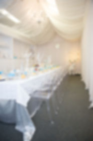 frozen birthday party zena photography (