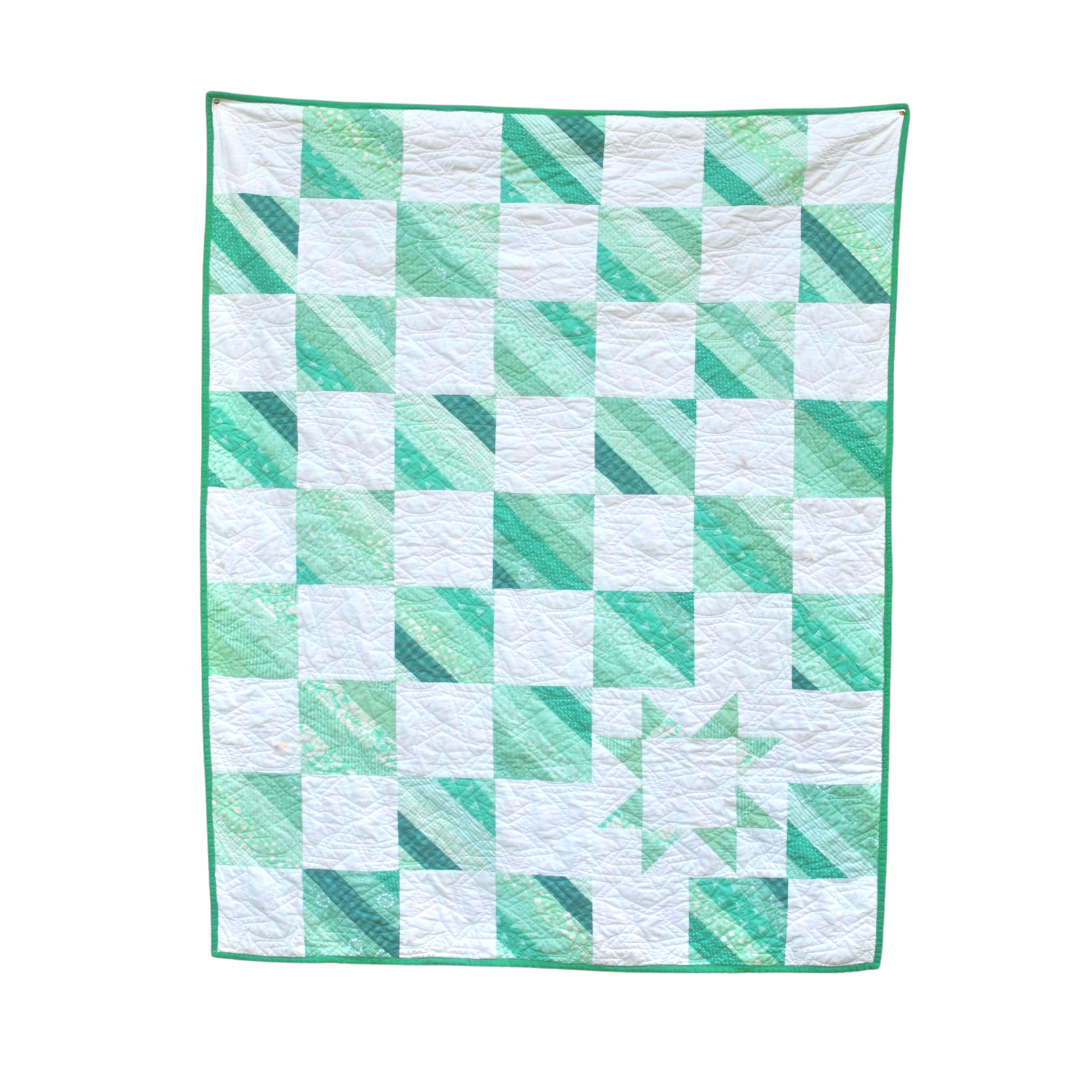 The Star of the Show