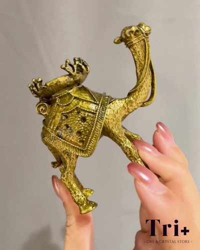 金銅駱駝| Tri Crystal