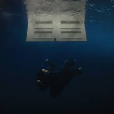 Hit Me Hard and Soft by Billie Eilish