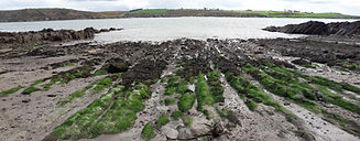 4 - plage.jpg