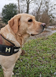 178944977_289285146113035_57325939938776