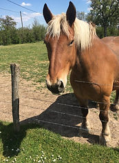 178163028_288751666078256_23176634110738