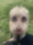 Ivy sunglasses.jpg