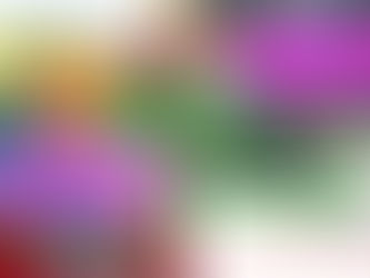 SPENDENAUFRUF und FFP-Vereinsnachrichten