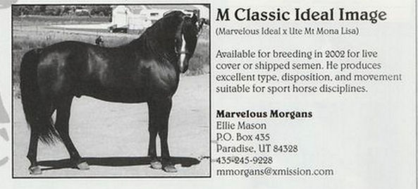 M CLASSIC IDEAL IMAGE.resized.jpg