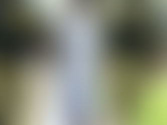 Jamaican charged after cocaine shipped by courier