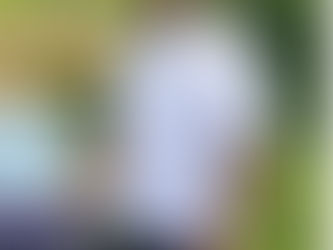 Elizabeth Estates admin charged with molesting teen