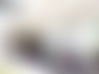 Parliamentary Registration frustrating early voters