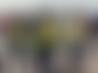 Prominent Attorney Owen Wells Appointed Chairman of Bahamix Limited