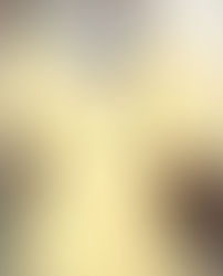 Suspect charged in Haitian Village murder