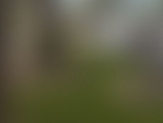 Taxi drivers block off Atlantis Royal Towers entrance