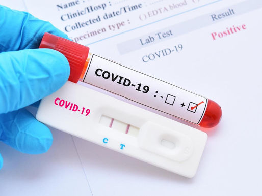 7 arrested for traveling with fake covid tests