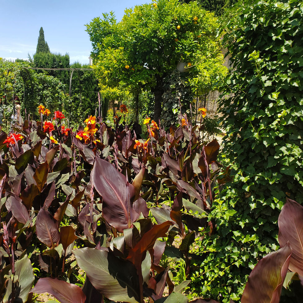 El jardín del Generalife.