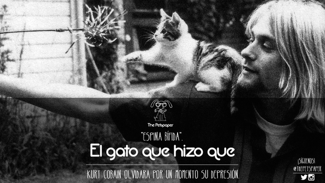 Kurt Cobain y El Gato Que Le Robó Una Sonrisa
